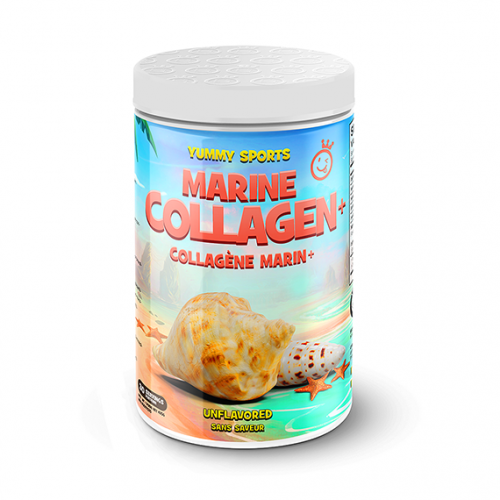 Marine Collagen +