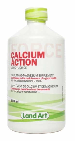 Calcium Action