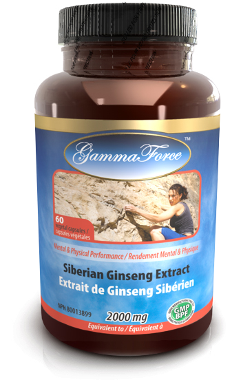 Ginseng sibérien extrait 4:1  500 mg