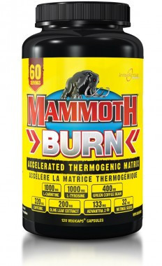 Mammoth Burn