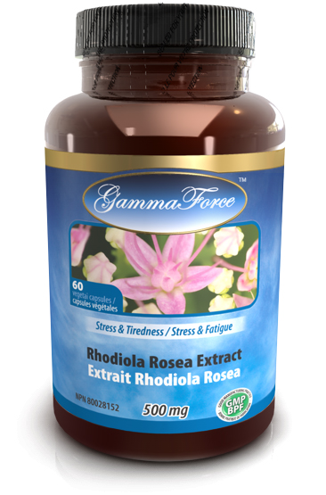 Rhodiola Rosea extrait std 3% salidrosides 500 mg