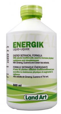 Energik