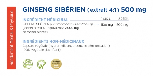 Siberian ginseng extract 4:1 500 mg