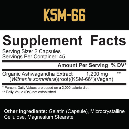 KSM - 66