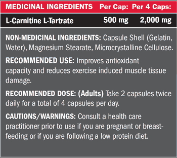 Precision L-Carnitine