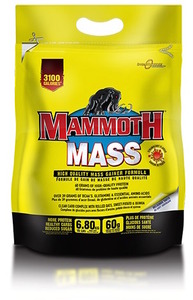 Mammoth Mass