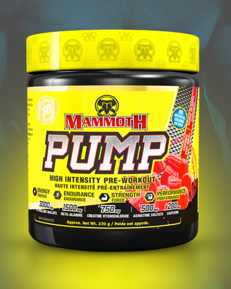 Mammoth Pump