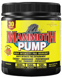 Mammoth Pump