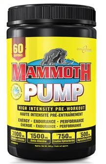 Mammoth Pump