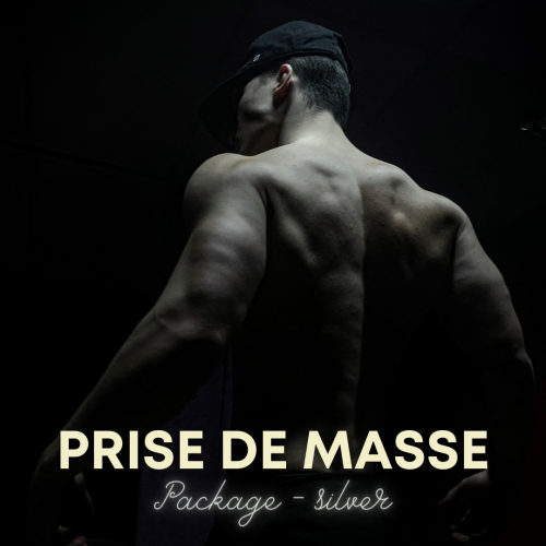 Prise de masse -Silver 