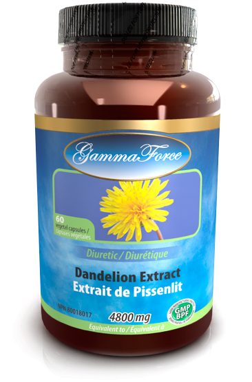 Pissenlit extrait 10:1  480 mg