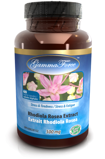 Rhodiola Rosea extract std 3% salidrosides 500 mg