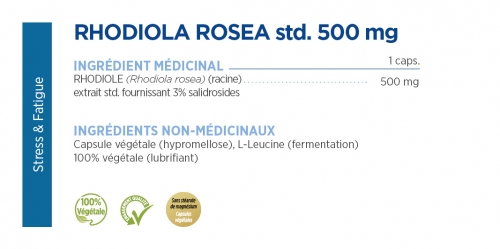 Rhodiola Rosea extrait std 3% salidrosides 500 mg
