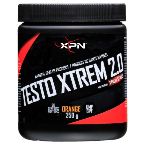 Testo Xtrem 2.0 