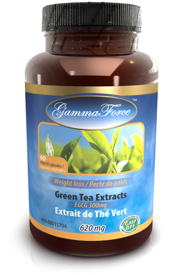 Thé vert extrait std. 300 mg EGCG et 82,7 mg caféine 620 mg