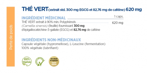 Thé vert extrait std. 300 mg EGCG et 82,7 mg caféine 620 mg